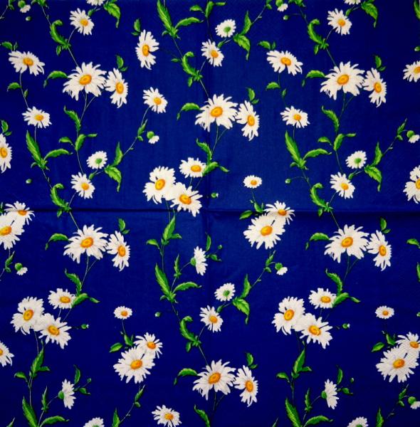 348 Daisies - 3-ply - CS